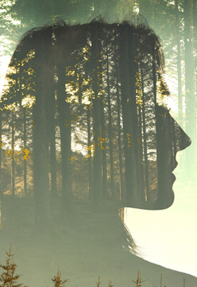 Prospectus cover - Black Mountains College