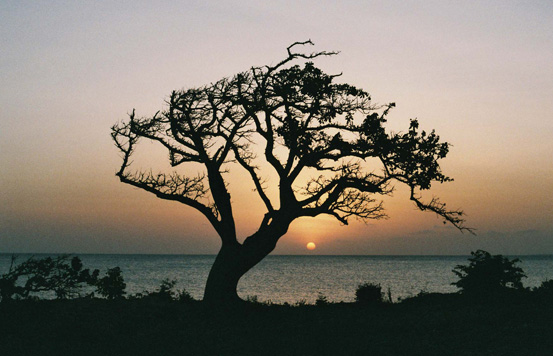 Photography - kizikula